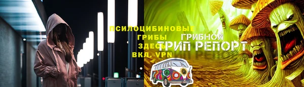 соль ск Иннополис