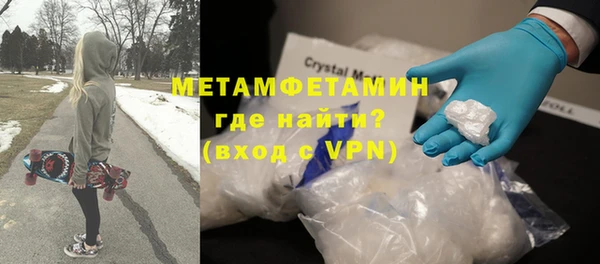 сатива Инта