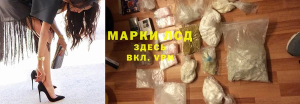 сатива Инта