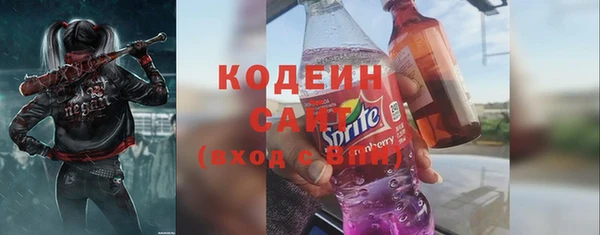 сатива Инта