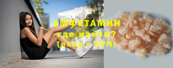 сатива Инта