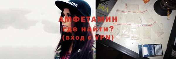 сатива Инта