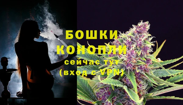 соль ск Иннополис