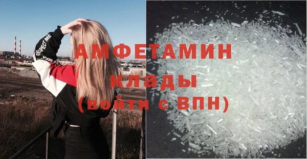 сатива Инта