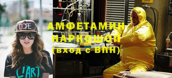 сатива Инта