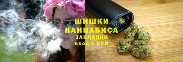 сатива Инта