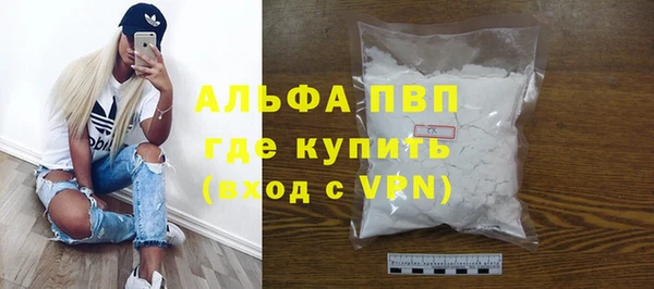 сатива Инта