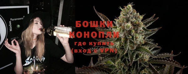 ALPHA PVP Инсар