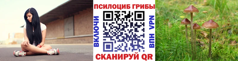 Галлюциногенные грибы Cubensis Новочебоксарск