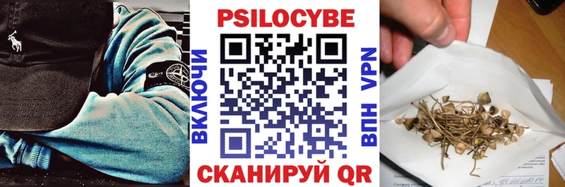 Псилоцибиновые грибы мицелий  ссылка на мегу сайт  Новочебоксарск  купить закладку 
